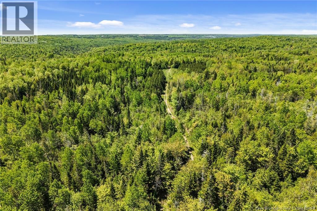Lot Route 620, Tay Creek, New Brunswick  O0O 0O0 - Photo 14 - NB133525