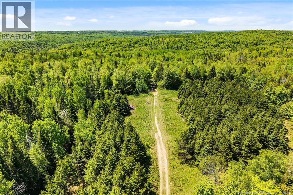 Lot Route 620, Tay Creek, New Brunswick  O0O 0O0 - Photo 15 - NB133525