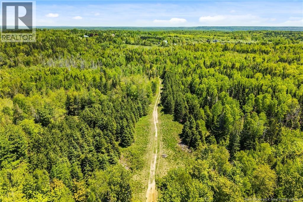 Lot Route 620, Tay Creek, New Brunswick  O0O 0O0 - Photo 16 - NB133525
