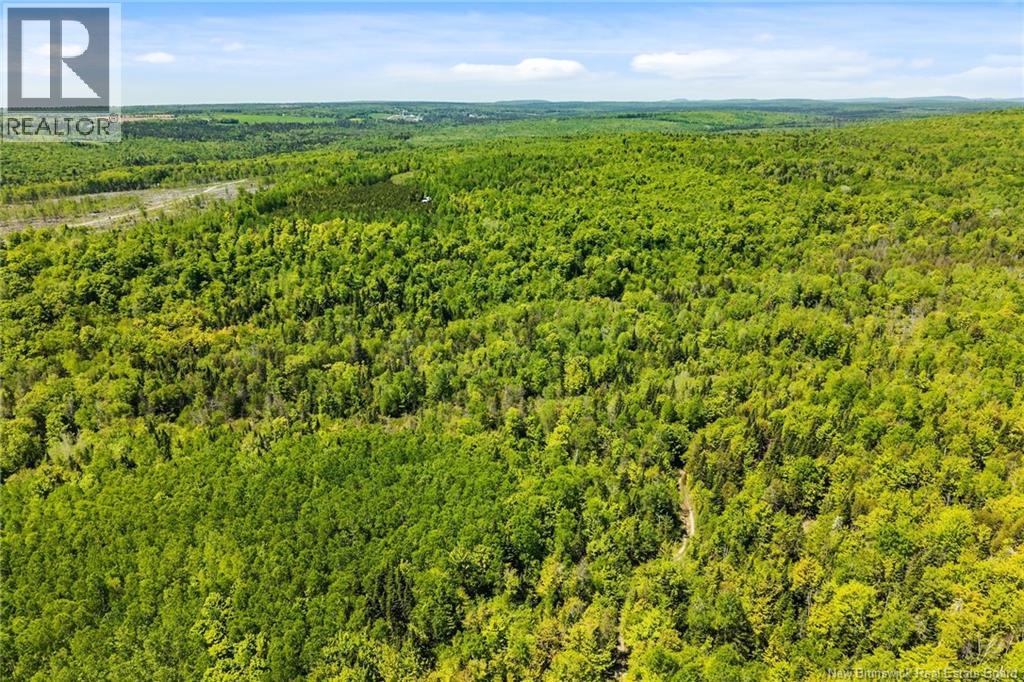 Lot Route 620, Tay Creek, New Brunswick  O0O 0O0 - Photo 17 - NB133525
