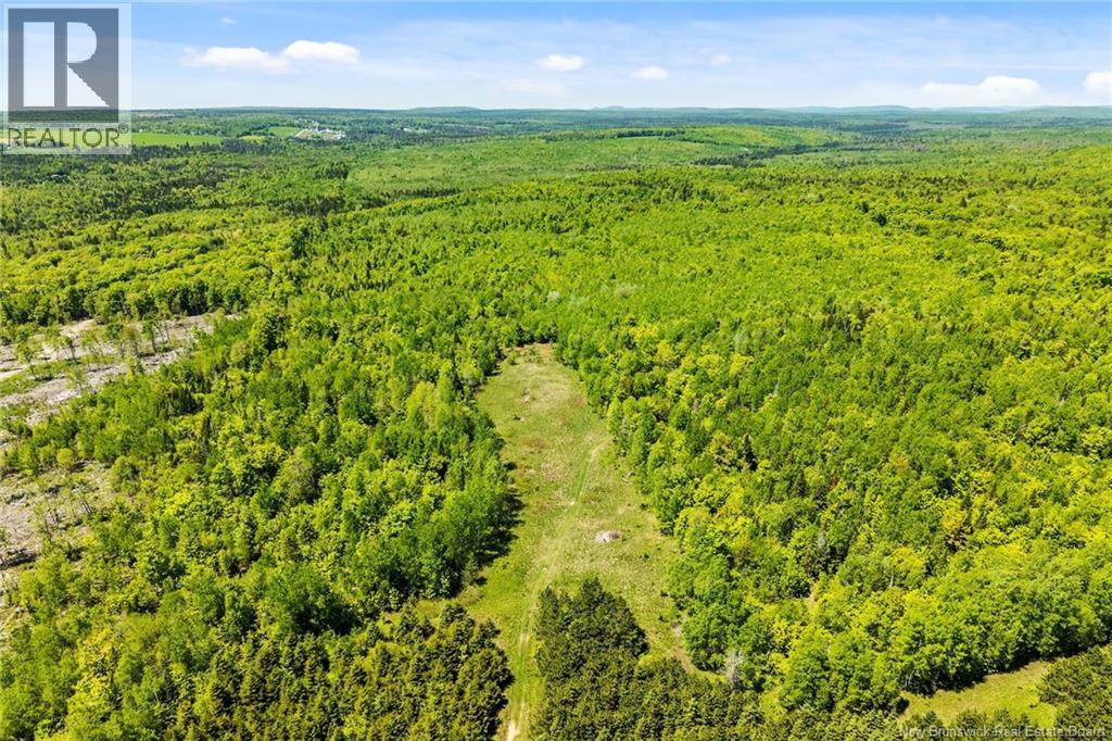 Lot Route 620, Tay Creek, New Brunswick  O0O 0O0 - Photo 18 - NB133525
