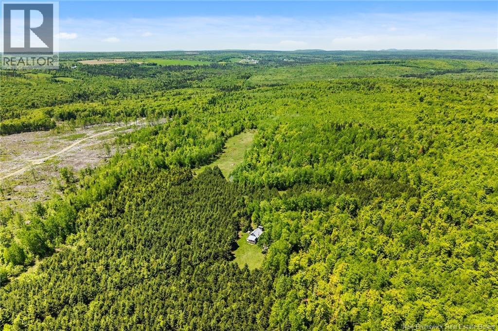 Lot Route 620, Tay Creek, New Brunswick  O0O 0O0 - Photo 19 - NB133525