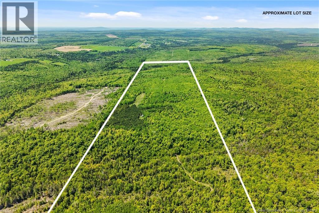 Lot Route 620, Tay Creek, New Brunswick  O0O 0O0 - Photo 3 - NB133525