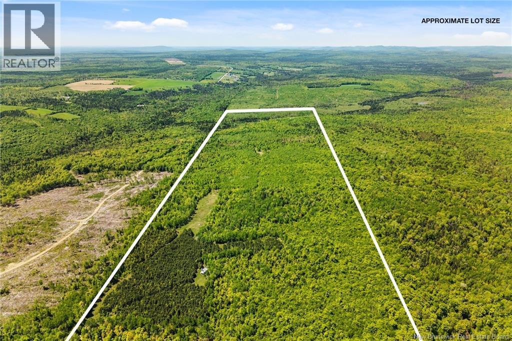 Lot Route 620, Tay Creek, New Brunswick  O0O 0O0 - Photo 4 - NB133525