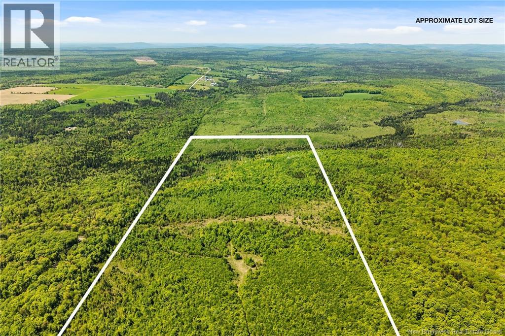 Lot Route 620, Tay Creek, New Brunswick  O0O 0O0 - Photo 5 - NB133525