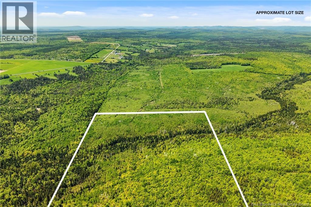 Lot Route 620, Tay Creek, New Brunswick  O0O 0O0 - Photo 6 - NB133525