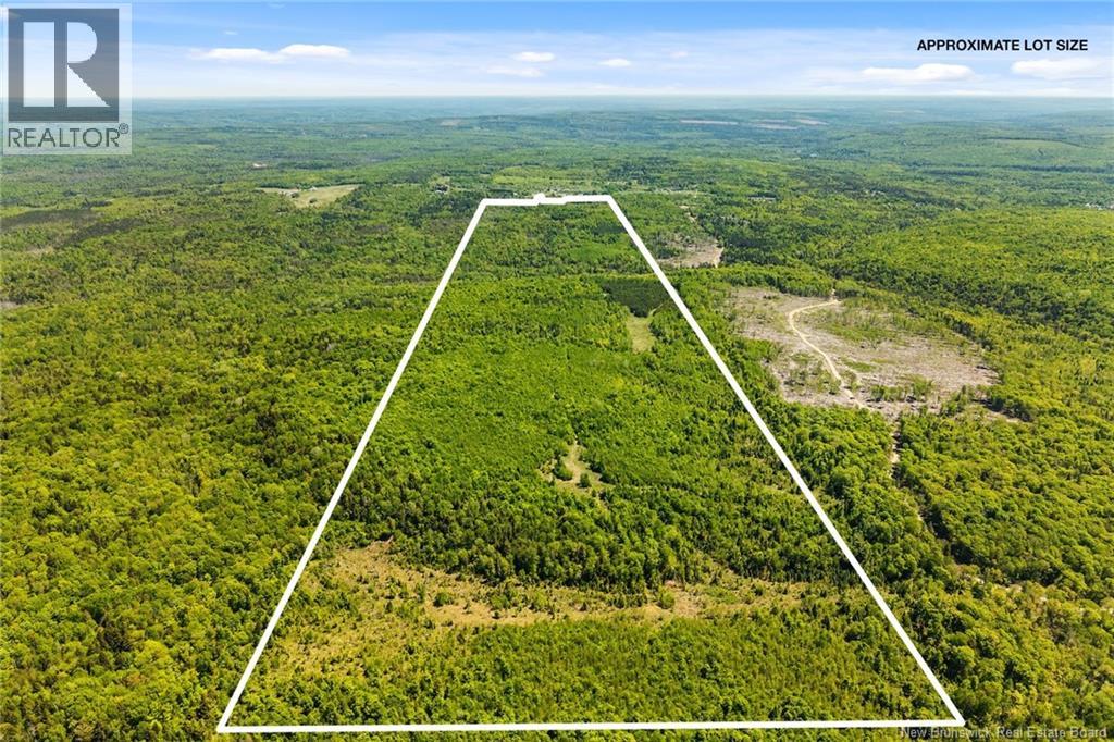 Lot Route 620, Tay Creek, New Brunswick  O0O 0O0 - Photo 7 - NB133525