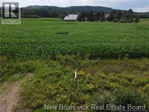 Lot Waterford Road, Dutch Valley, New Brunswick  E4E 3N5 - Photo 5 - NB133541