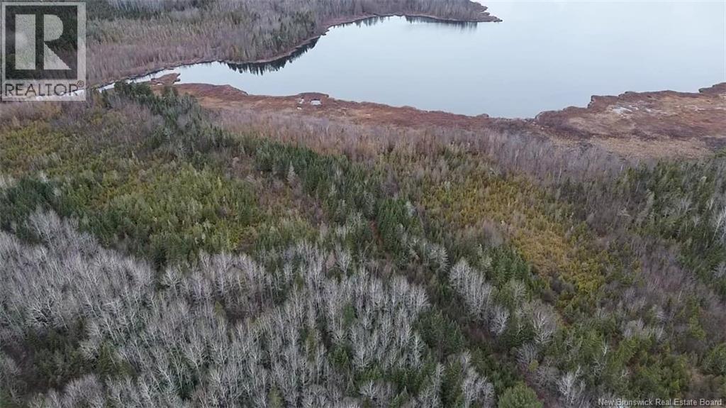 N/a Tobin Road, Elmwood, New Brunswick  W7N 2C6 - Photo 5 - NB133609