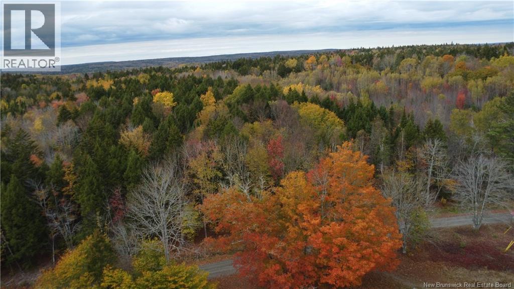 339 Mcminn Road, Rollingdam, New Brunswick  E5A 1B2 - Photo 8 - NB133554