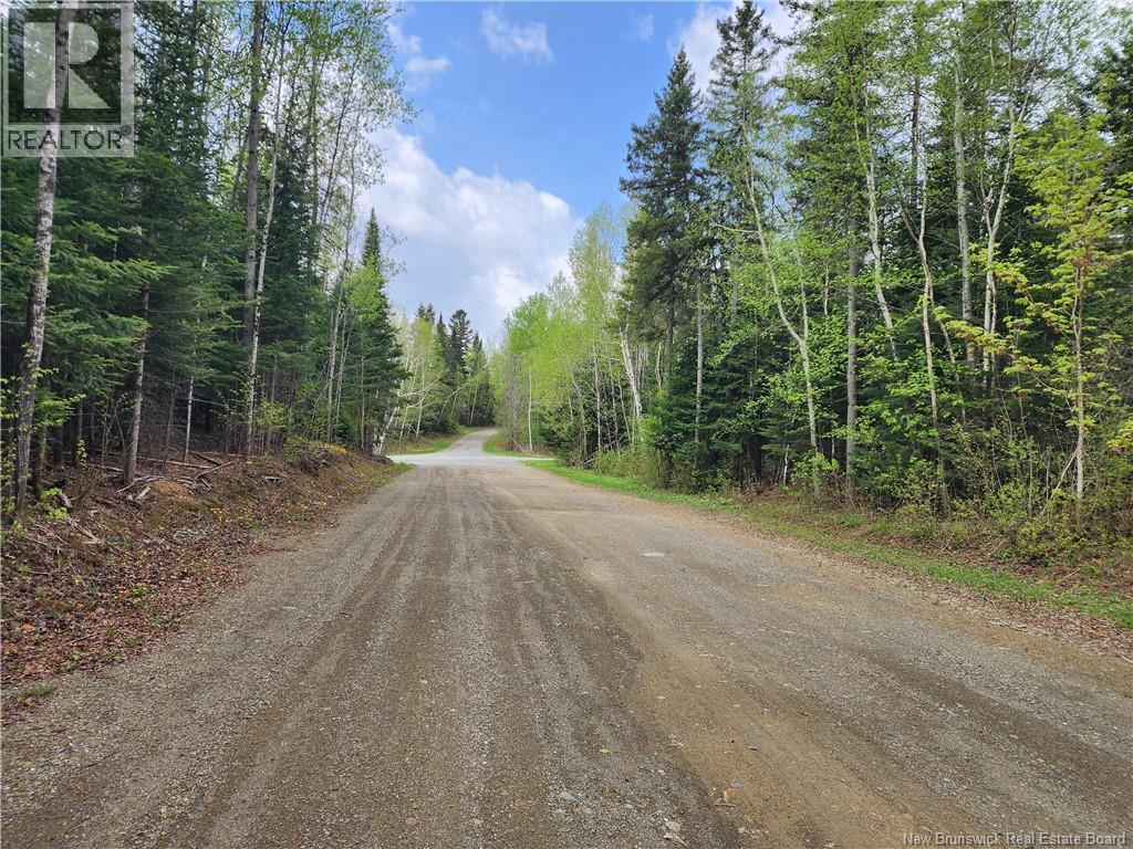 25 Curry Brook Lodge Lane, Aroostook Junction, New Brunswick  E7H 1T9 - Photo 46 - NB133021