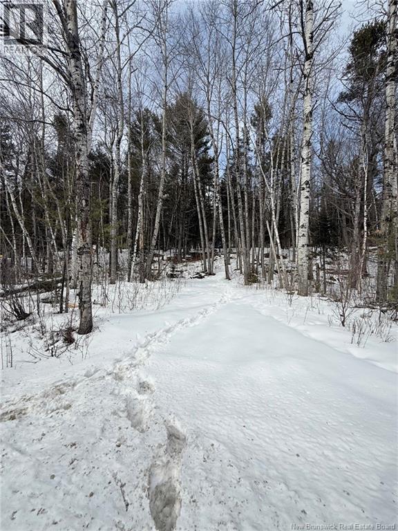 3311 Route 625, Boiestown, New Brunswick E6A 1E9 - Photo 13 - NB133671