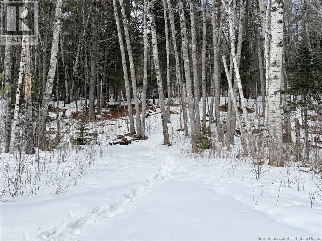 3311 Route 625, Boiestown, New Brunswick E6A 1E9 - Photo 14 - NB133671