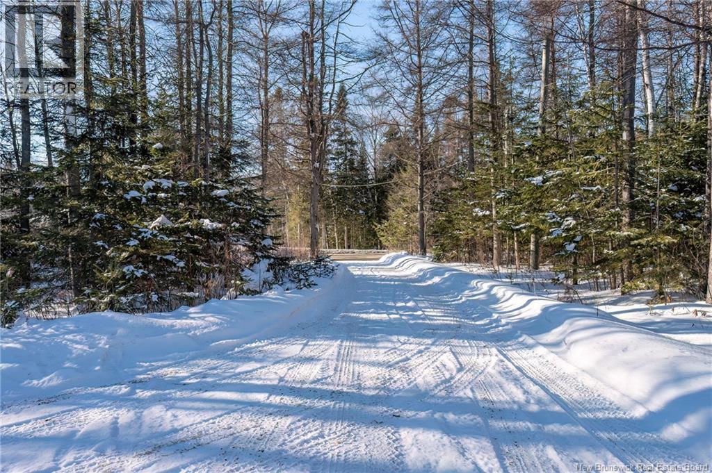 305 Waddell Street, Saint-André, New Brunswick  E3Y 1M1 - Photo 45 - NB133703