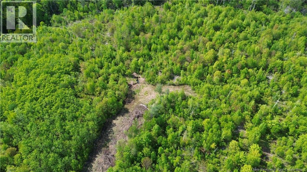 1392 Route 870, Belleisle Creek, New Brunswick  E5P 1H7 - Photo 12 - NB133680
