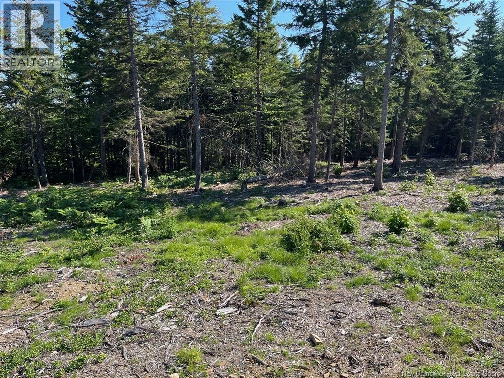 2021-1 Trailside Lane, Central Hainesville, New Brunswick