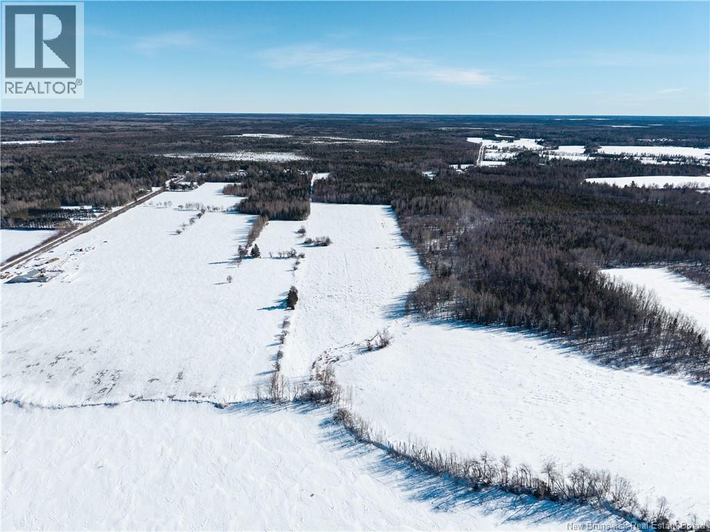 Lot 2022-1 Route 117, Black River Bridge, New Brunswick  E1M 5M9 - Photo 16 - NB133686