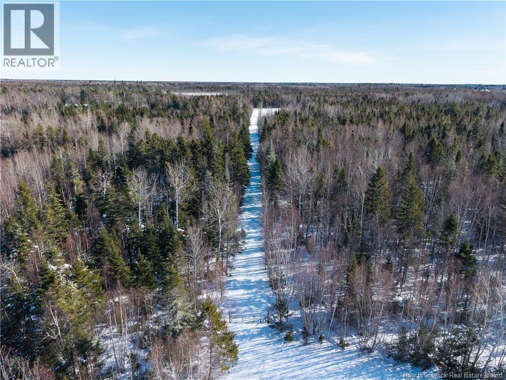 Lot 2022-1 Route 117, Black River Bridge, New Brunswick  E1M 5M9 - Photo 19 - NB133686