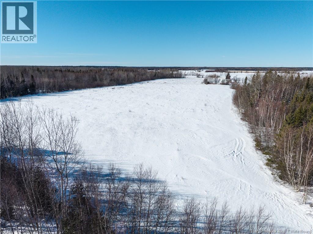 Lot 2022-1 Route 117, Black River Bridge, New Brunswick  E1M 5M9 - Photo 20 - NB133686