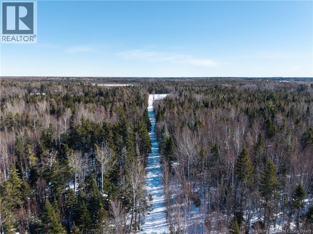 Lot 2022-1 Route 117, Black River Bridge, New Brunswick  E1M 5M9 - Photo 22 - NB133686