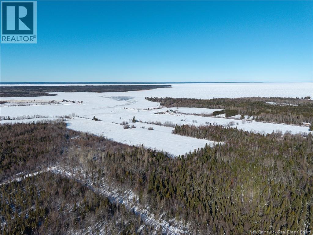 Lot 2022-1 Route 117, Black River Bridge, New Brunswick  E1M 5M9 - Photo 23 - NB133686