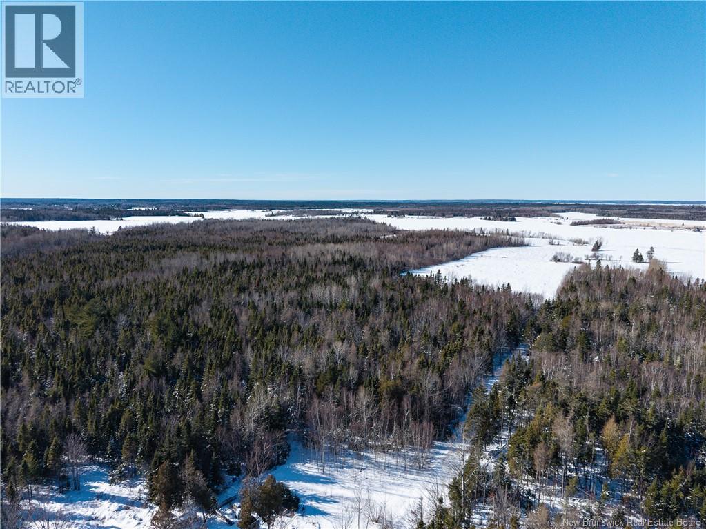 Lot 2022-1 Route 117, Black River Bridge, New Brunswick  E1M 5M9 - Photo 7 - NB133686