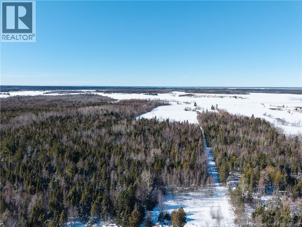 Lot 2022-1 Route 117, Black River Bridge, New Brunswick  E1M 5M9 - Photo 8 - NB133686