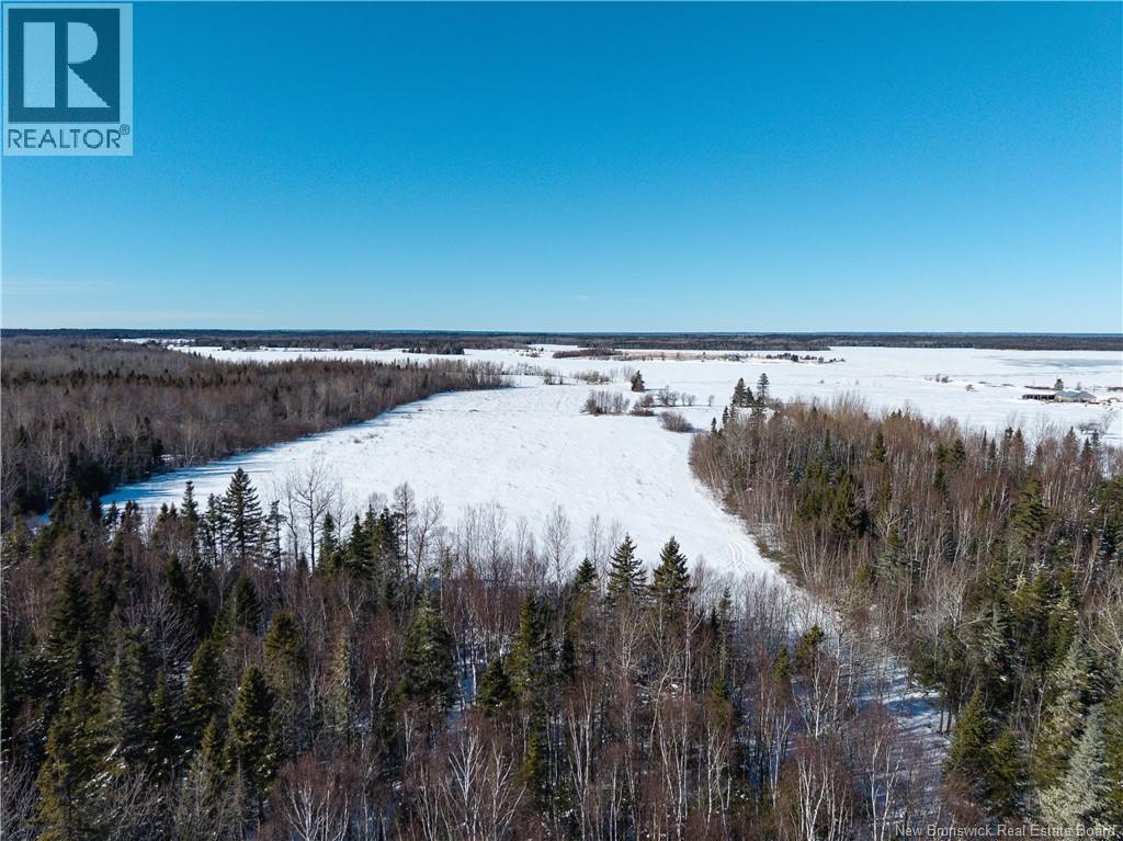 Lot 2022-1 Route 117, Black River Bridge, New Brunswick  E1M 5M9 - Photo 9 - NB133686