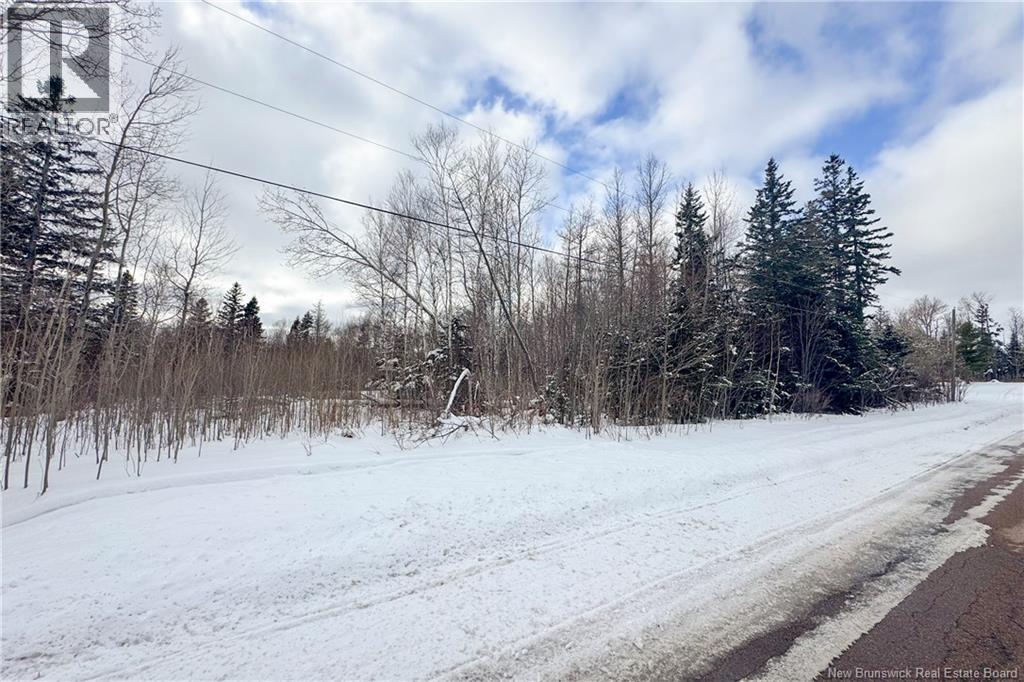 Lot Upper Cape Road, Melrose, New Brunswick E4M 2W4 - Photo 3 - NB133733