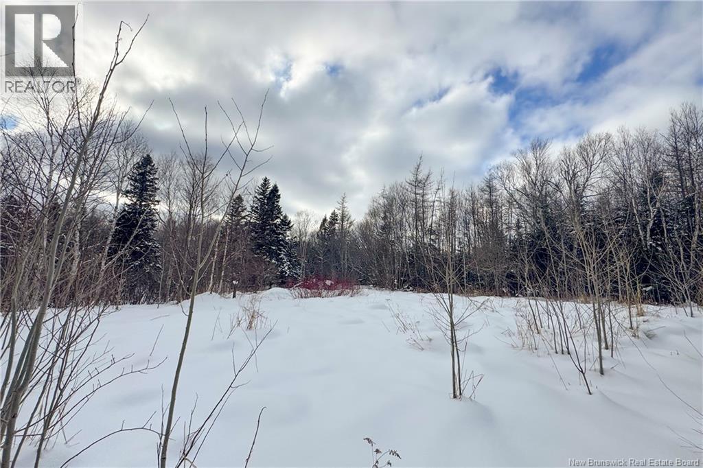 Lot Upper Cape Road, Melrose, New Brunswick E4M 2W4 - Photo 4 - NB133733