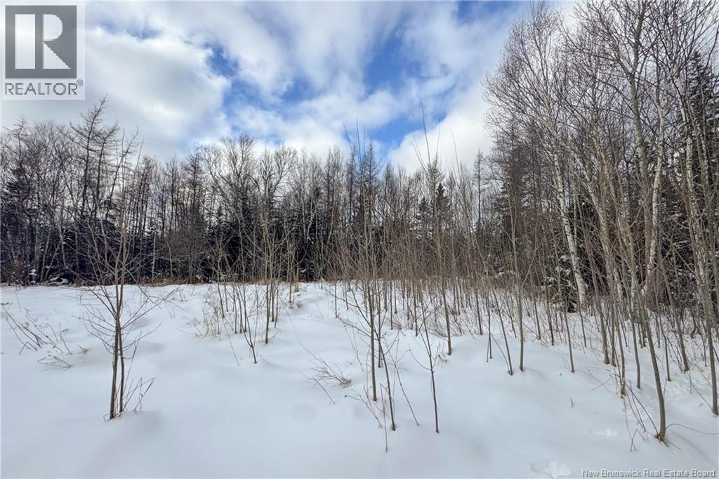 Lot Upper Cape Road, Melrose, New Brunswick E4M 2W4 - Photo 5 - NB133733