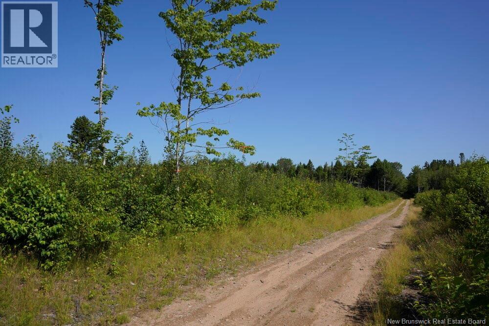 620 Spring Brook Road, South Branch, New Brunswick  E4W 5P9 - Photo 15 - NB133700