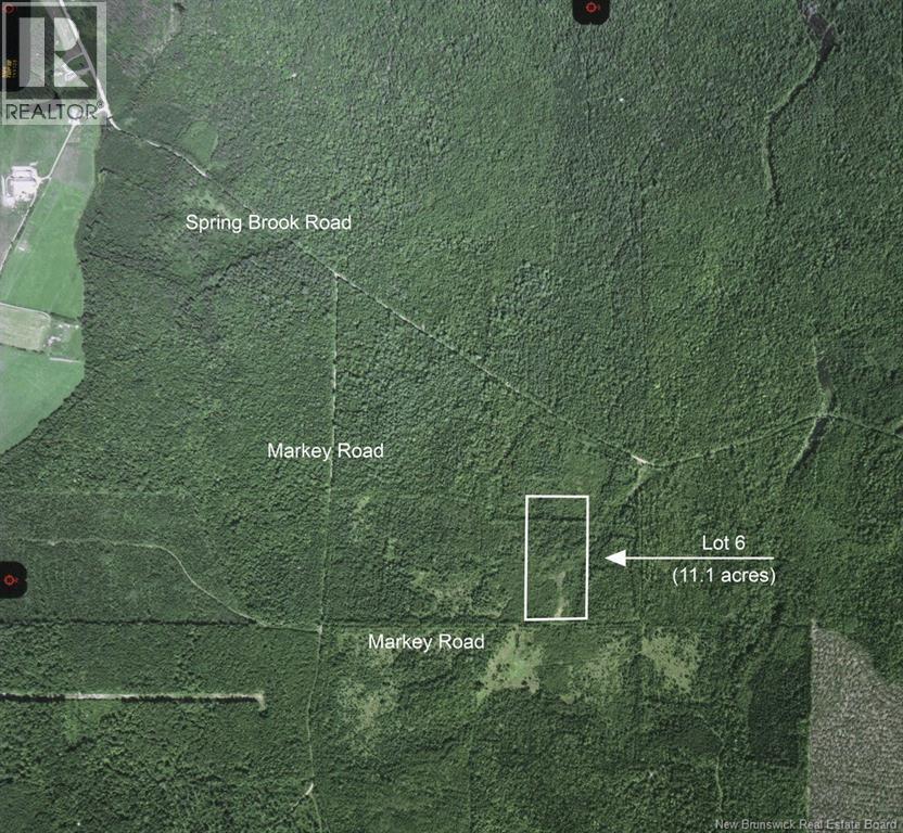 620 Spring Brook Road, South Branch, New Brunswick  E4W 5P9 - Photo 2 - NB133700