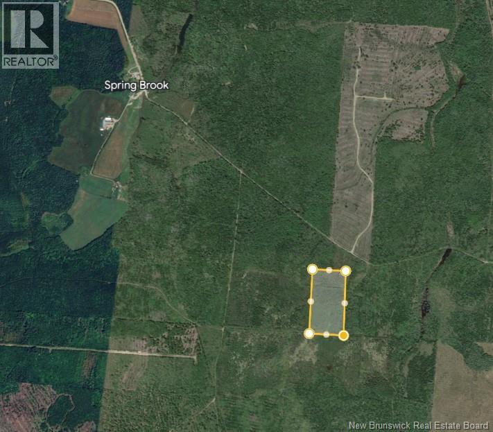 620 Spring Brook Road, South Branch, New Brunswick  E4W 5P9 - Photo 4 - NB133700