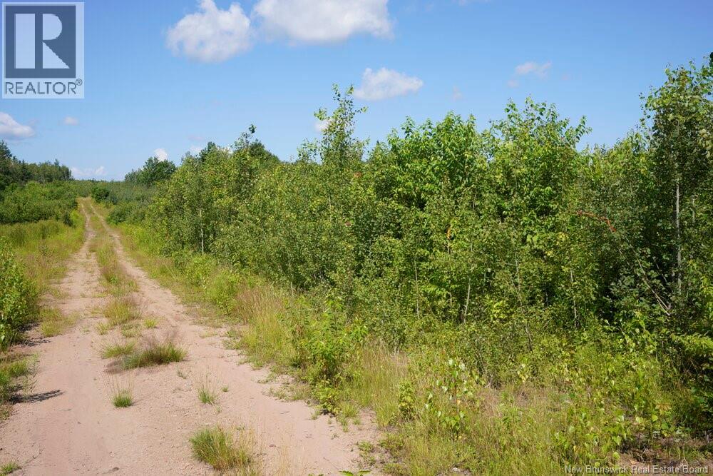 620 Spring Brook Road, South Branch, New Brunswick  E4W 5P9 - Photo 6 - NB133700