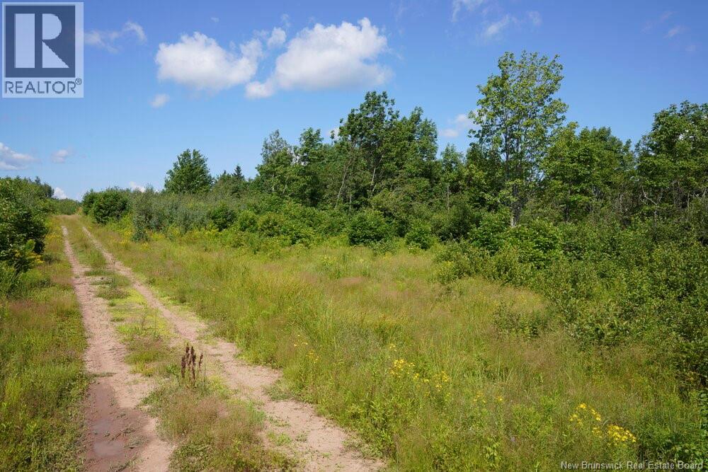 620 Spring Brook Road, South Branch, New Brunswick  E4W 5P9 - Photo 7 - NB133700