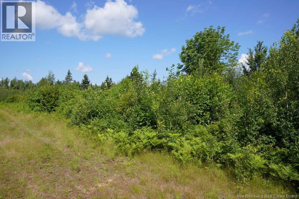 620 Spring Brook Road, South Branch, New Brunswick  E4W 5P9 - Photo 8 - NB133700