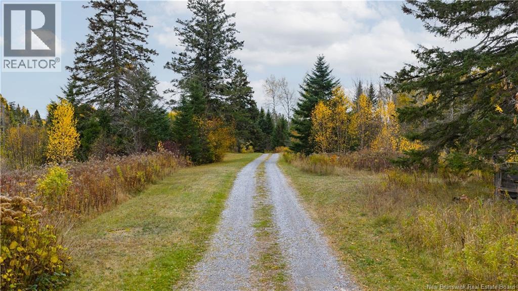 713 Route 121, Bloomfield, New Brunswick  E5N 4V2 - Photo 3 - NB133567