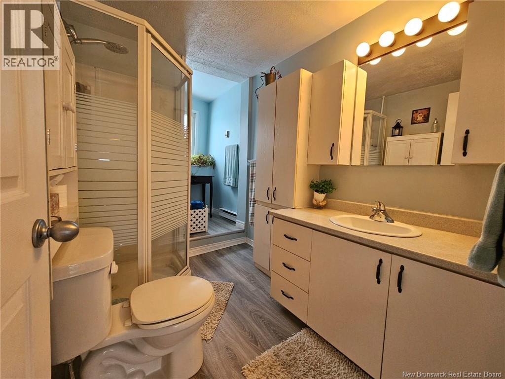 296 Montagne à Comeau Road, Saint-André, New Brunswick  E3Y 3G1 - Photo 25 - NB133759