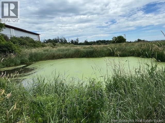47260 Homestead Road, Steeves Mountain, New Brunswick E1G 4P4 - Photo 15 - NB133477