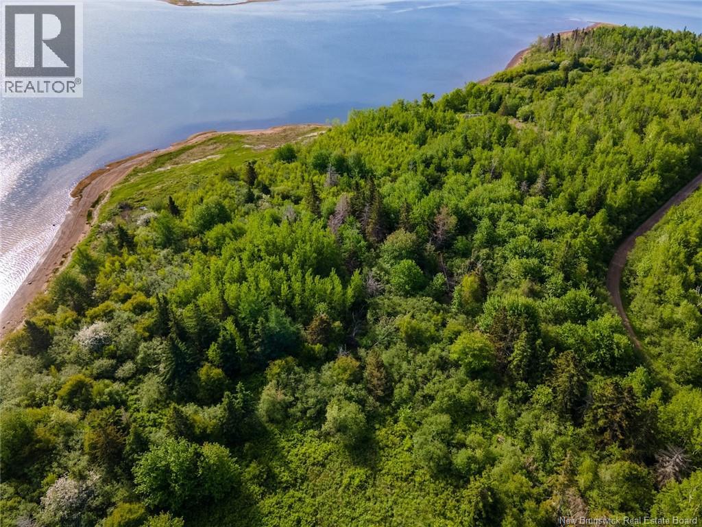 Lot 05-01, 05-02, 05-03 Sunrise Lane, Shemogue, New Brunswick  E4N 2N2 - Photo 15 - NB133773