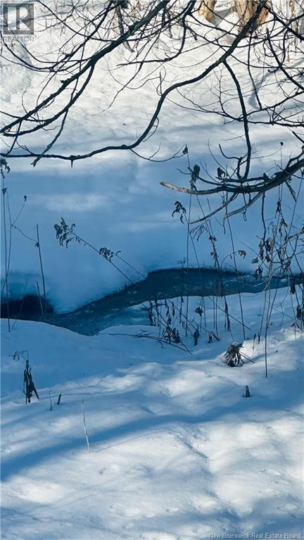 0 Charleston Road, Charleston, New Brunswick  E7K 1Z6 - Photo 11 - NB133786