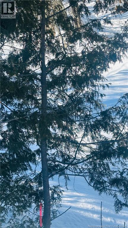 0 Charleston Road, Charleston, New Brunswick  E7K 1Z6 - Photo 12 - NB133786