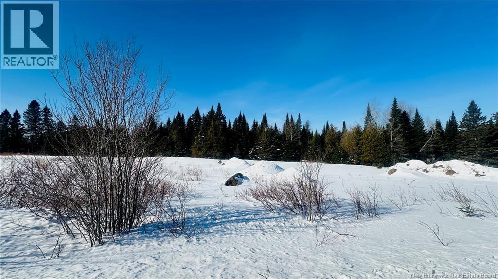 0 Charleston Road, Charleston, New Brunswick  E7K 1Z6 - Photo 7 - NB133786