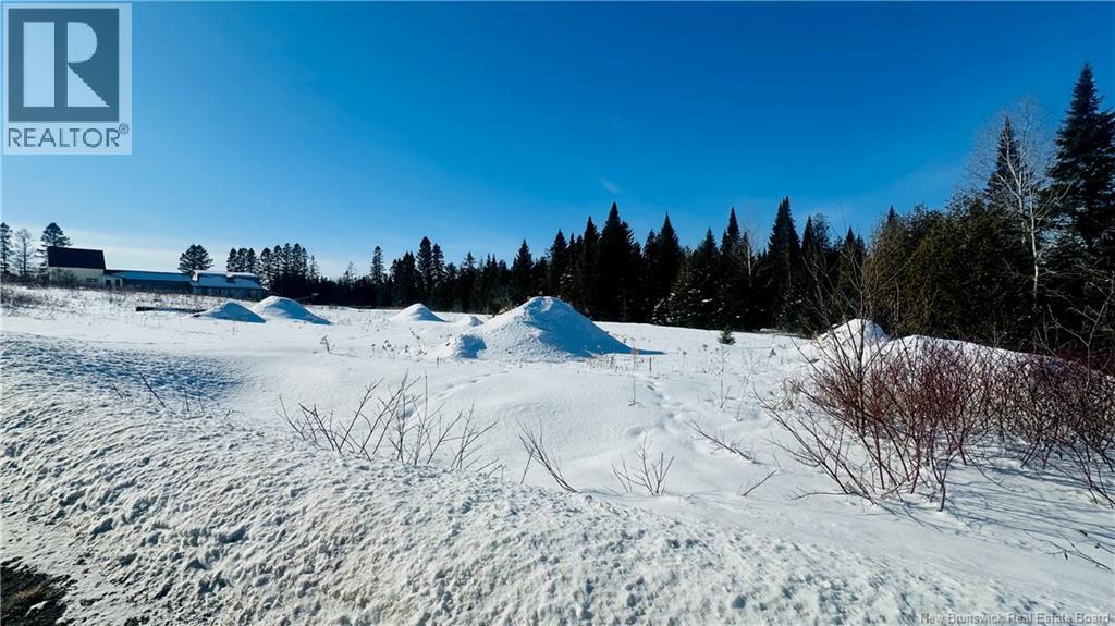 0 Charleston Road, Charleston, New Brunswick  E7K 1Z6 - Photo 8 - NB133786