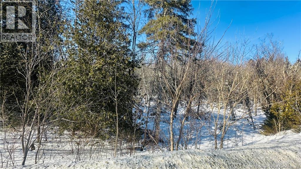 0 Charleston Road, Charleston, New Brunswick  E7K 1Z6 - Photo 9 - NB133786