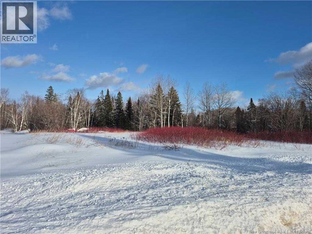 1386 Ch Alcida, Alcida, New Brunswick E8J 2B8 - Photo 1 - NB133787