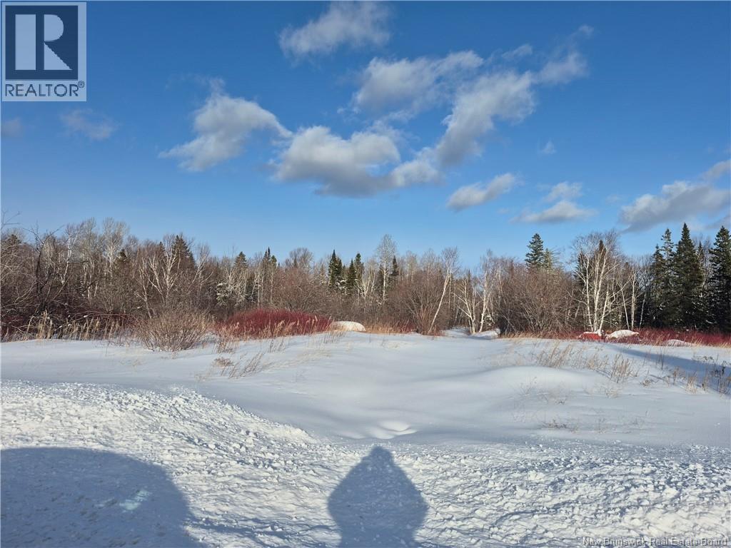 1386 Ch Alcida, Alcida, New Brunswick E8J 2B8 - Photo 2 - NB133787