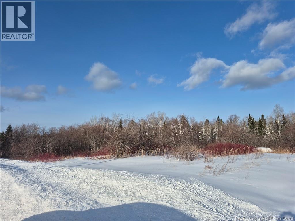 1386 Ch Alcida, Alcida, New Brunswick E8J 2B8 - Photo 3 - NB133787