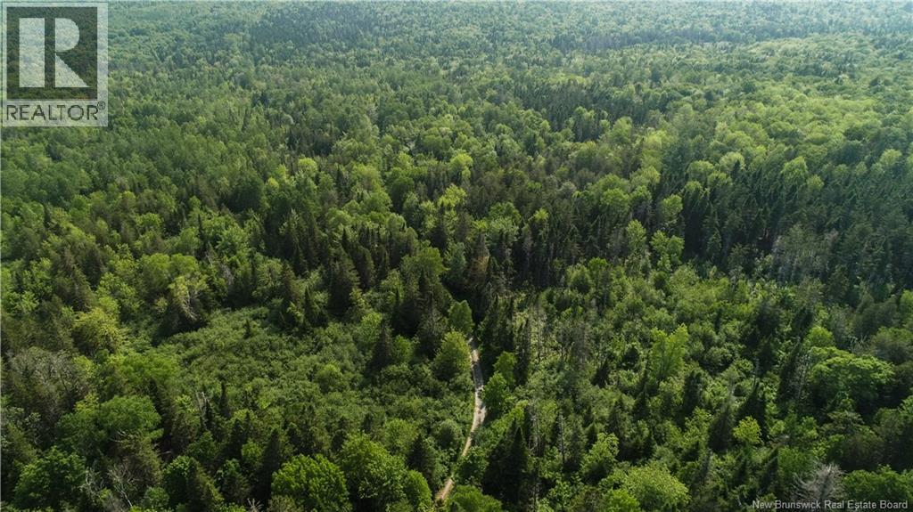 327 Maple Grove Road, Maple Grove, New Brunswick  E6B 2B5 - Photo 32 - NB133932